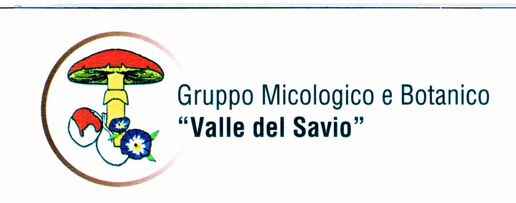 Micologica Valle Savio.JPG